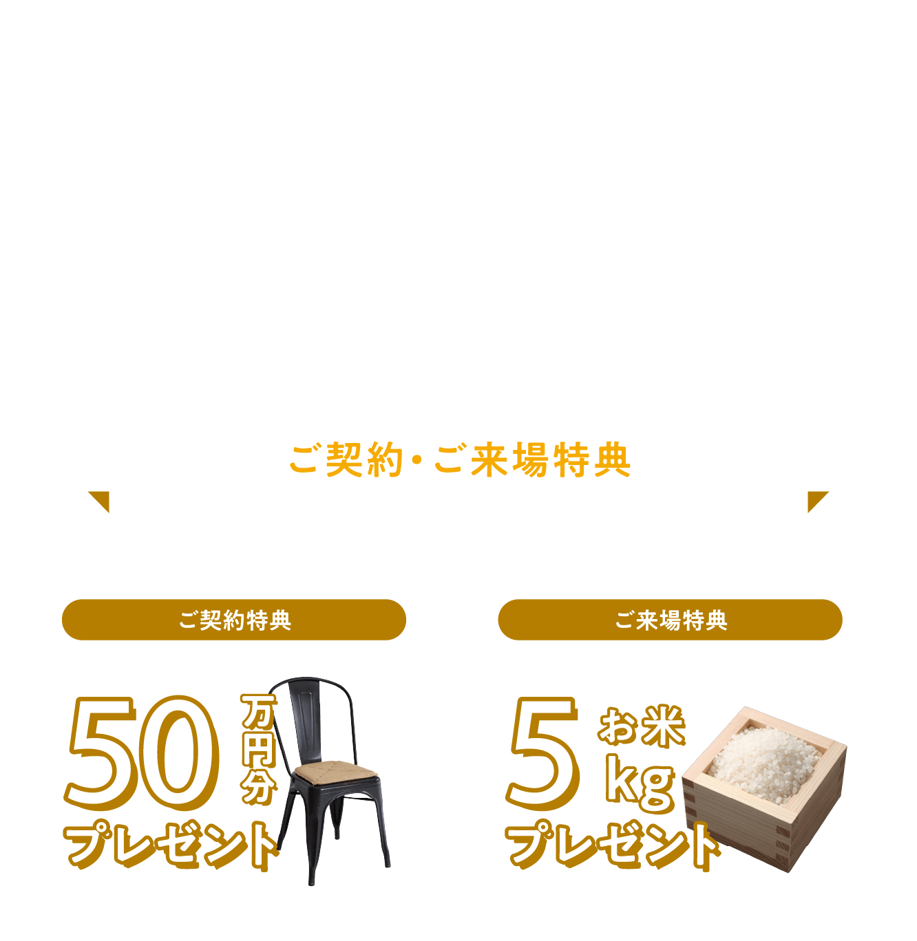 モデルハウス特別価格販売中～20代からでも叶うマイホーム～